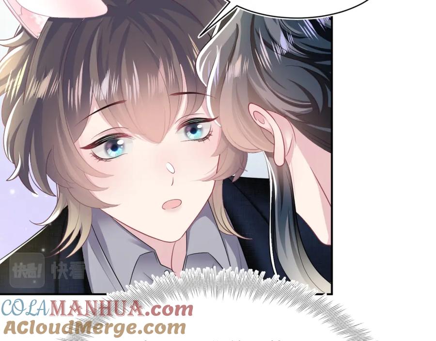 【快穿】绝美白莲在线教学 第84话 情感调味剂~ 第82页