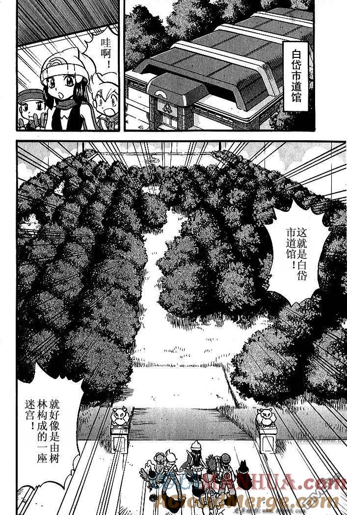 神奇宝贝特別篇 - 第347话 - 第11张图