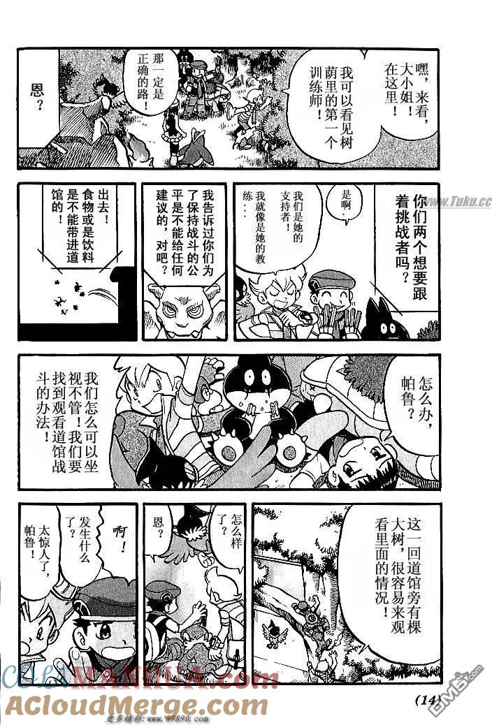 神奇宝贝特別篇 - 第347话 - 第13张图