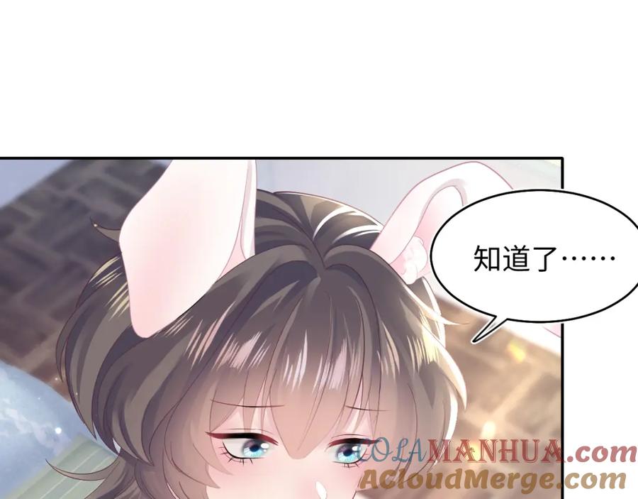 【快穿】绝美白莲在线教学 第89话 兔子的生理期？ 第5页
