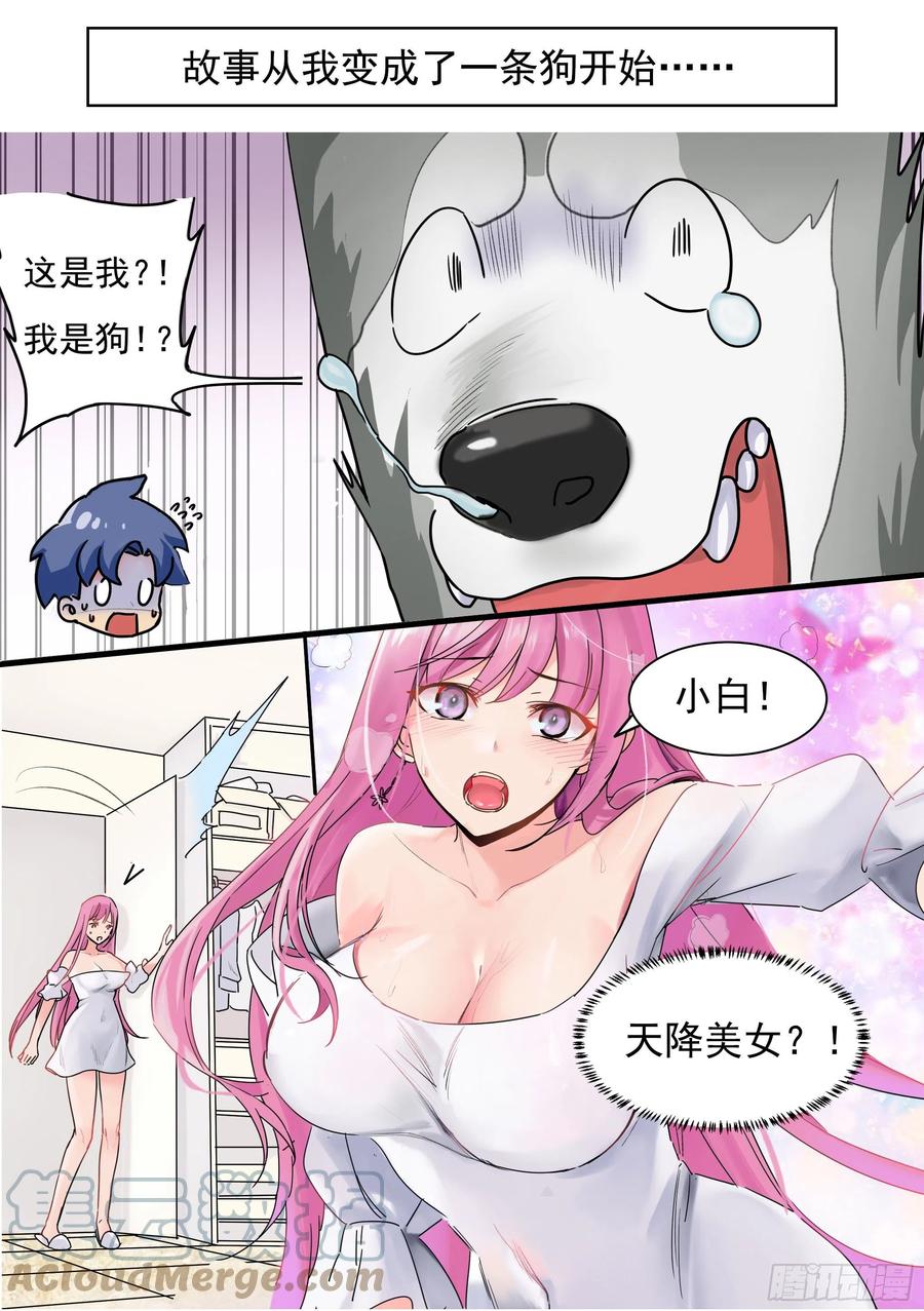 《直播：女神家的哈士奇天秀》预告 第2页