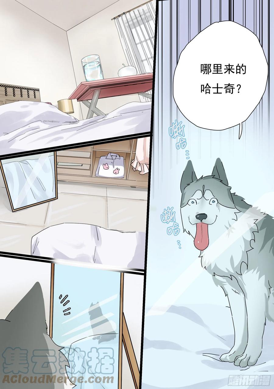 《直播：女神家的哈士奇天秀》预告 第1页