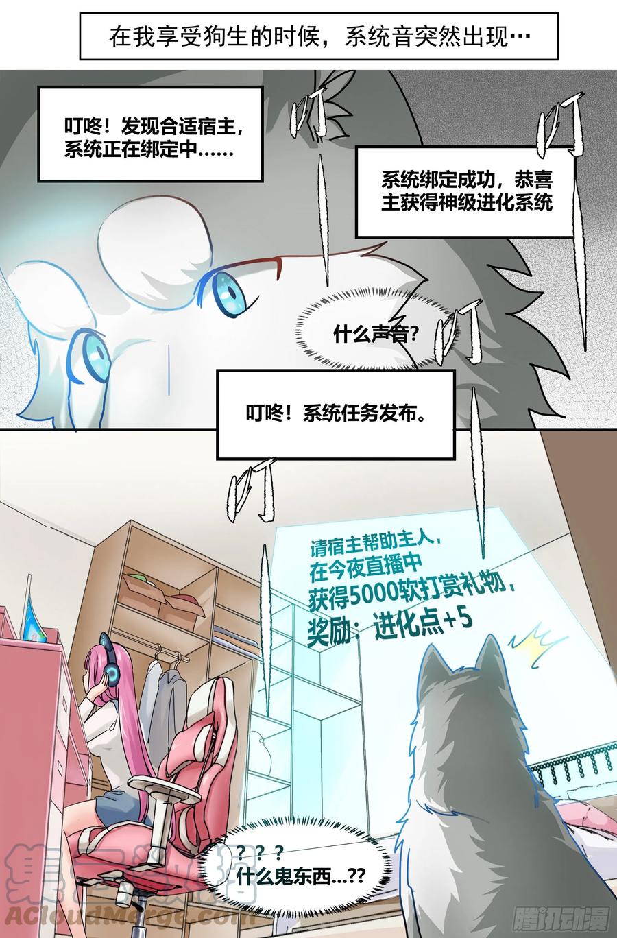 《直播：女神家的哈士奇天秀》预告 第4页