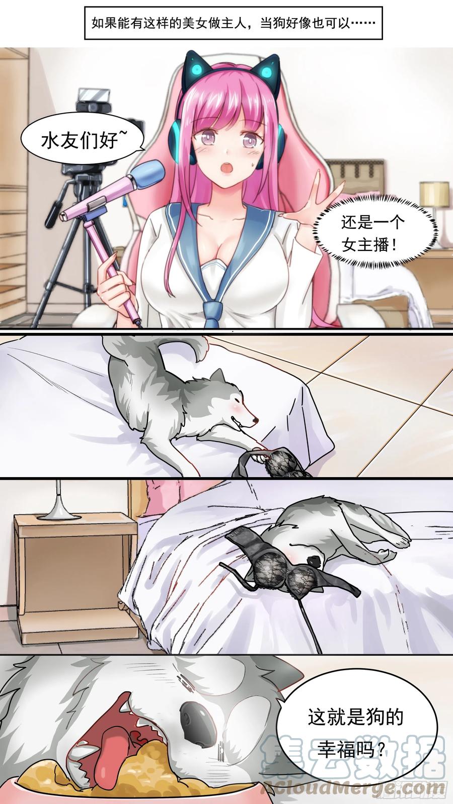 《直播：女神家的哈士奇天秀》预告 第3页