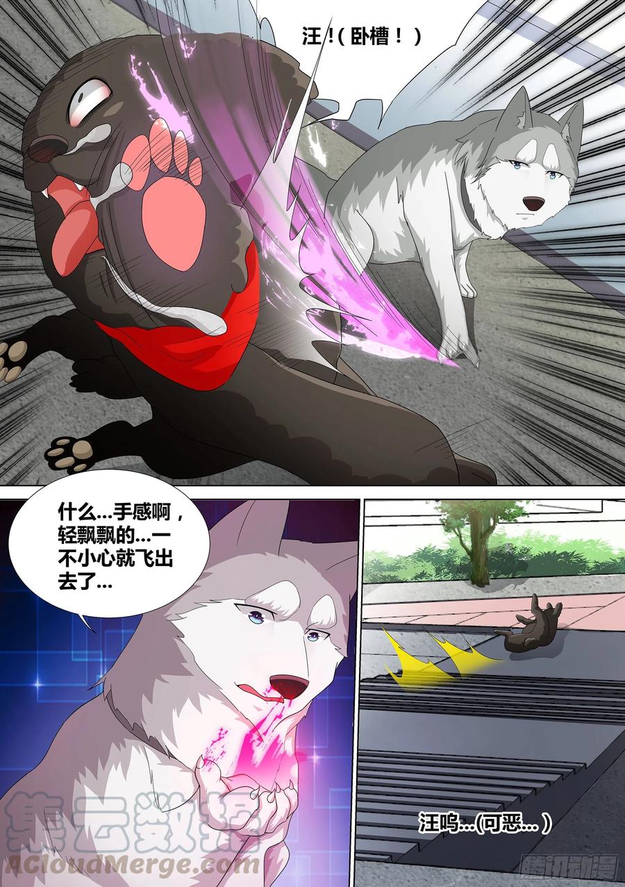 《直播：女神家的哈士奇天秀》9-小区“恶霸” 第17页
