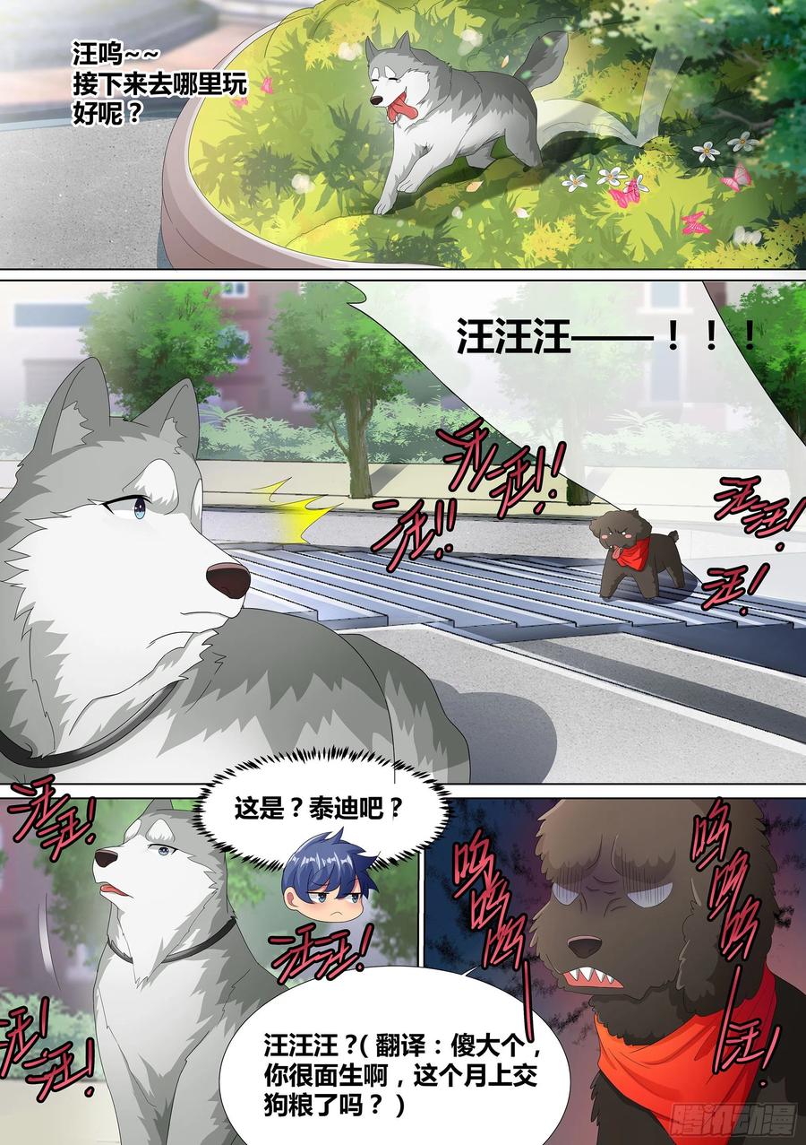 《直播：女神家的哈士奇天秀》9-小区“恶霸” 第14页