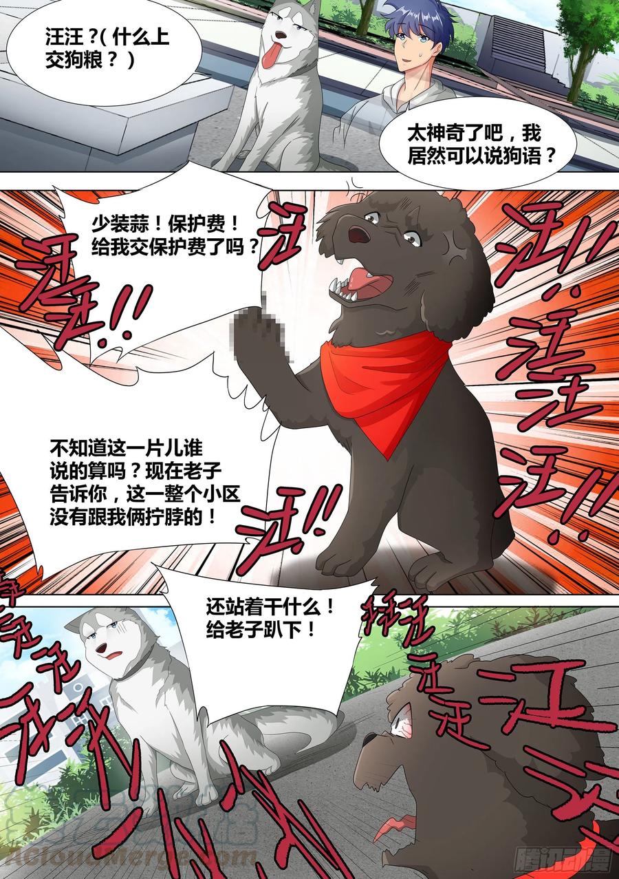 《直播：女神家的哈士奇天秀》9-小区“恶霸” 第15页