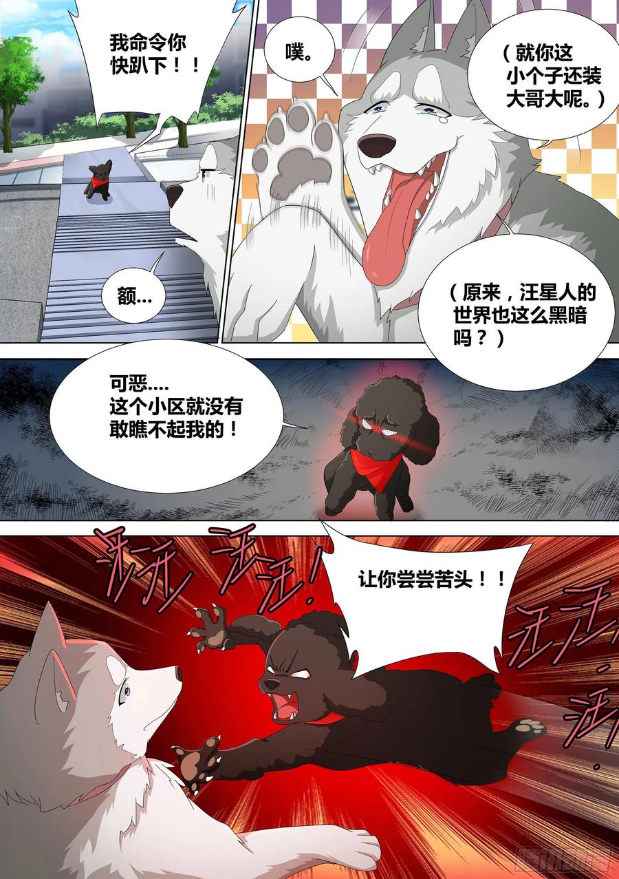 《直播：女神家的哈士奇天秀》9-小区“恶霸” 第16页
