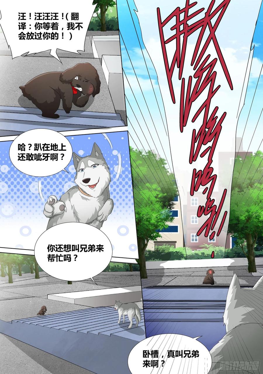 《直播：女神家的哈士奇天秀》9-小区“恶霸” 第18页