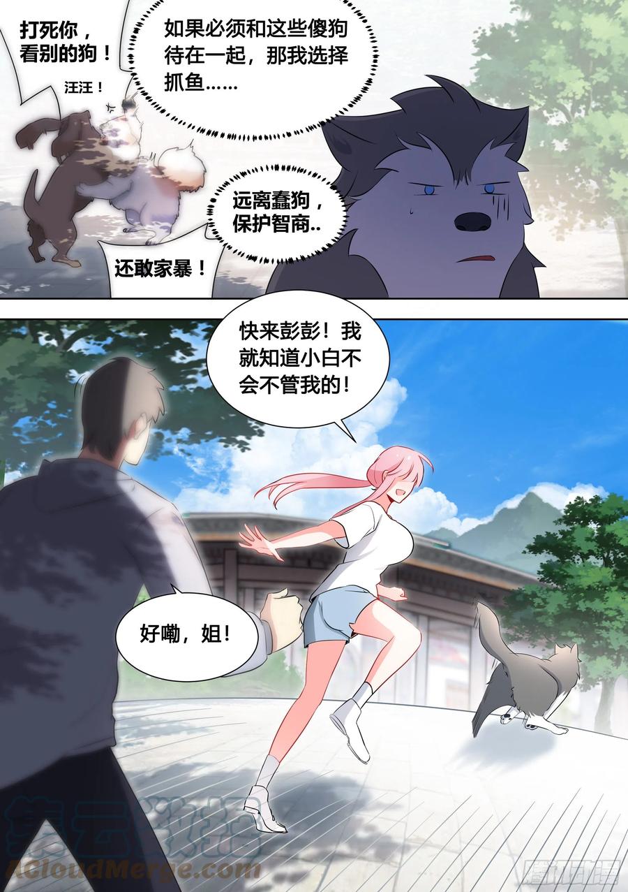 《直播：女神家的哈士奇天秀》99-婉清这小姑娘深不可测… 第12页