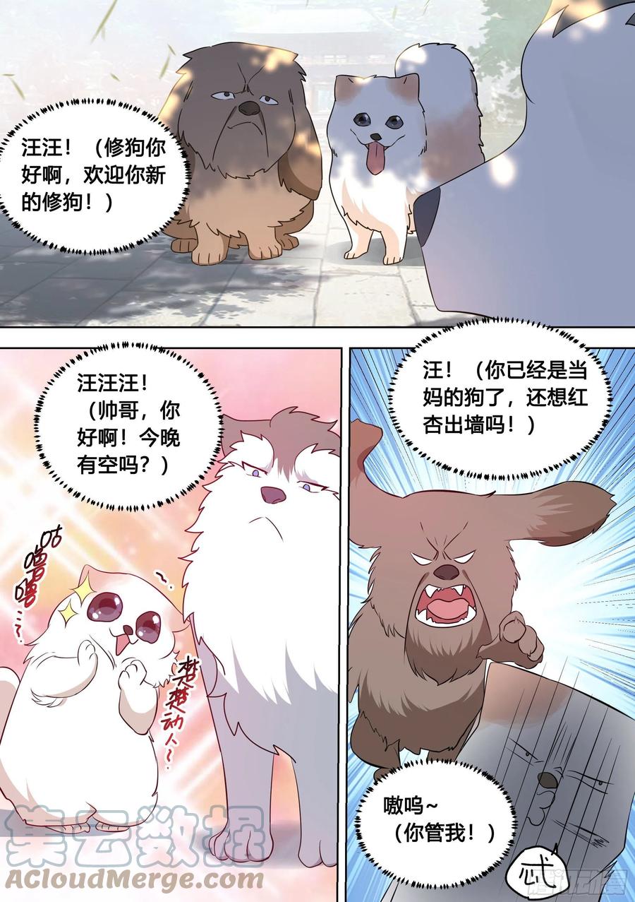 《直播：女神家的哈士奇天秀》99-婉清这小姑娘深不可测… 第11页
