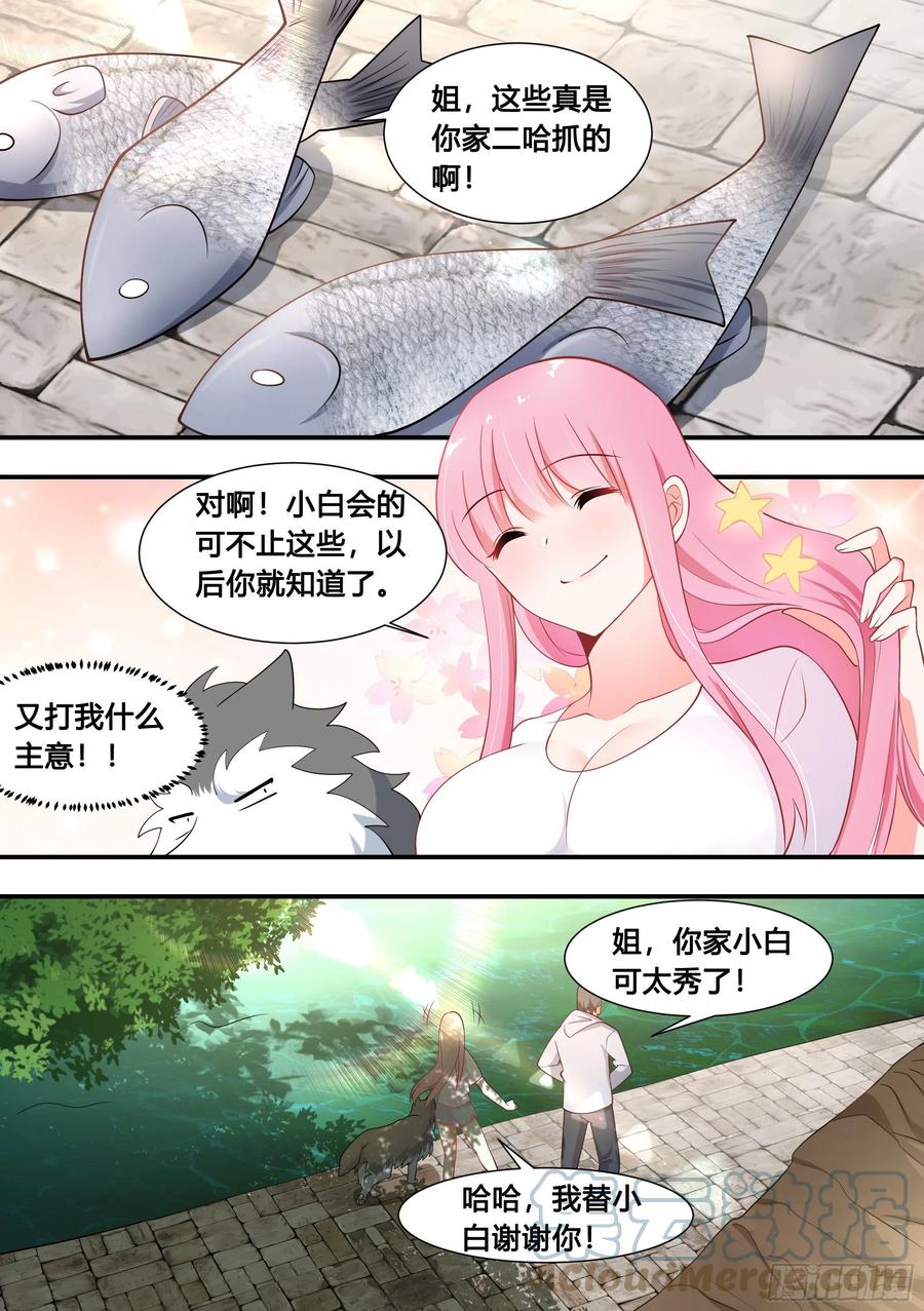 《直播：女神家的哈士奇天秀》100-还得看我家小白 第10页