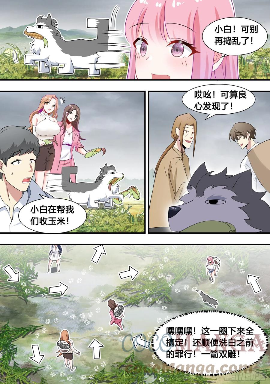 《直播：女神家的哈士奇天秀》103-心机小白拆家计 第11页