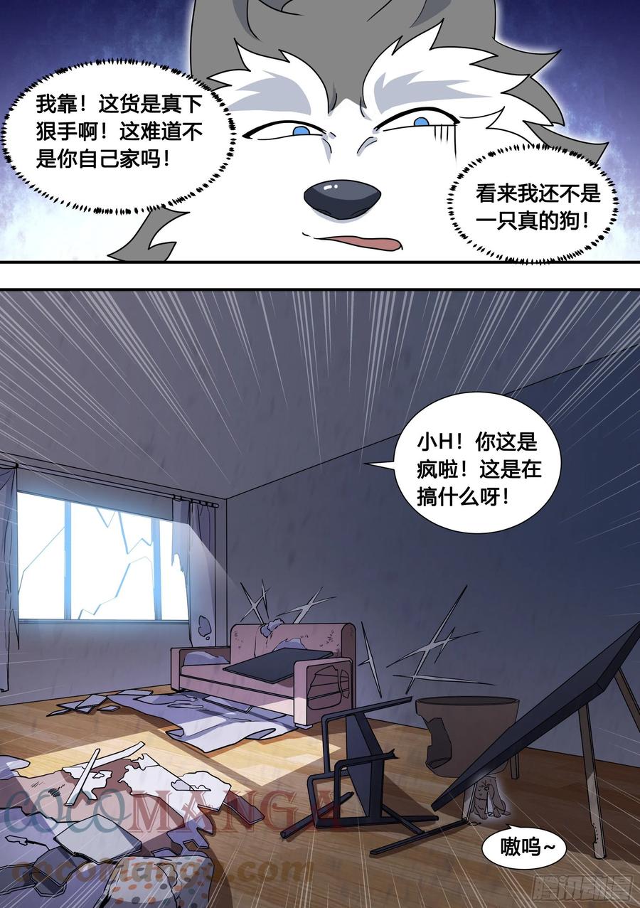 《直播：女神家的哈士奇天秀》104-案发现场 第5页