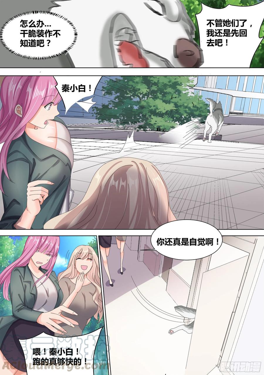 《直播：女神家的哈士奇天秀》10-无敌狗皇 第11页