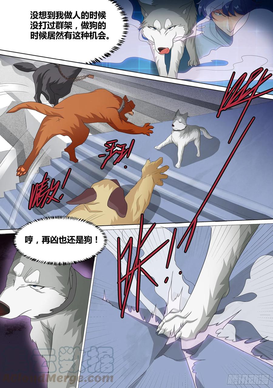 《直播：女神家的哈士奇天秀》10-无敌狗皇 第3页