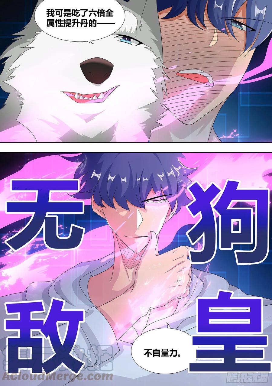 《直播：女神家的哈士奇天秀》10-无敌狗皇 第5页