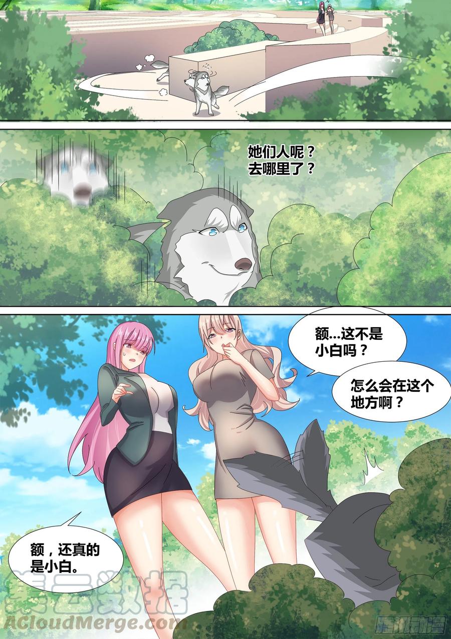 《直播：女神家的哈士奇天秀》10-无敌狗皇 第9页
