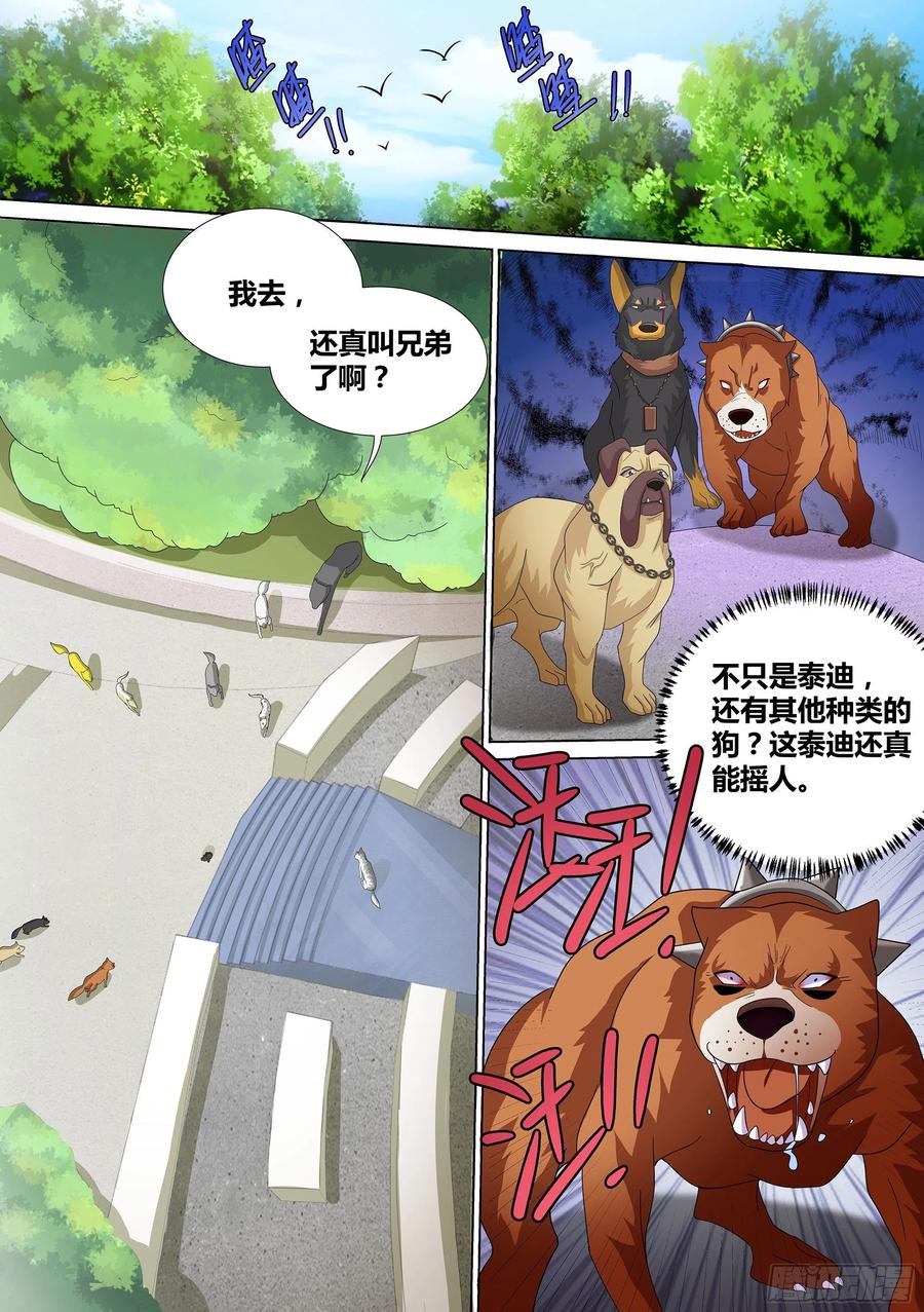《直播：女神家的哈士奇天秀》10-无敌狗皇 第2页