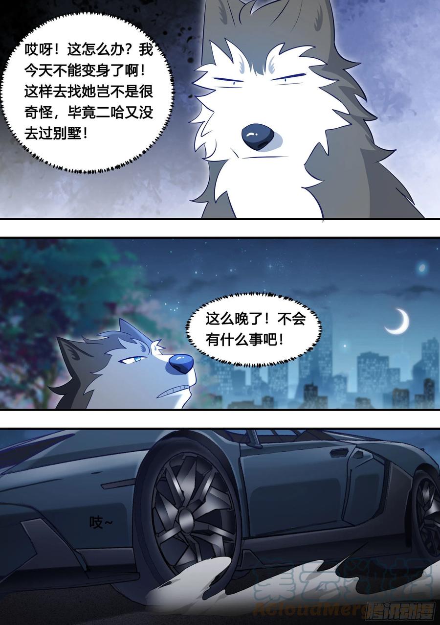 《直播：女神家的哈士奇天秀》114-分身乏术啊… 第12页