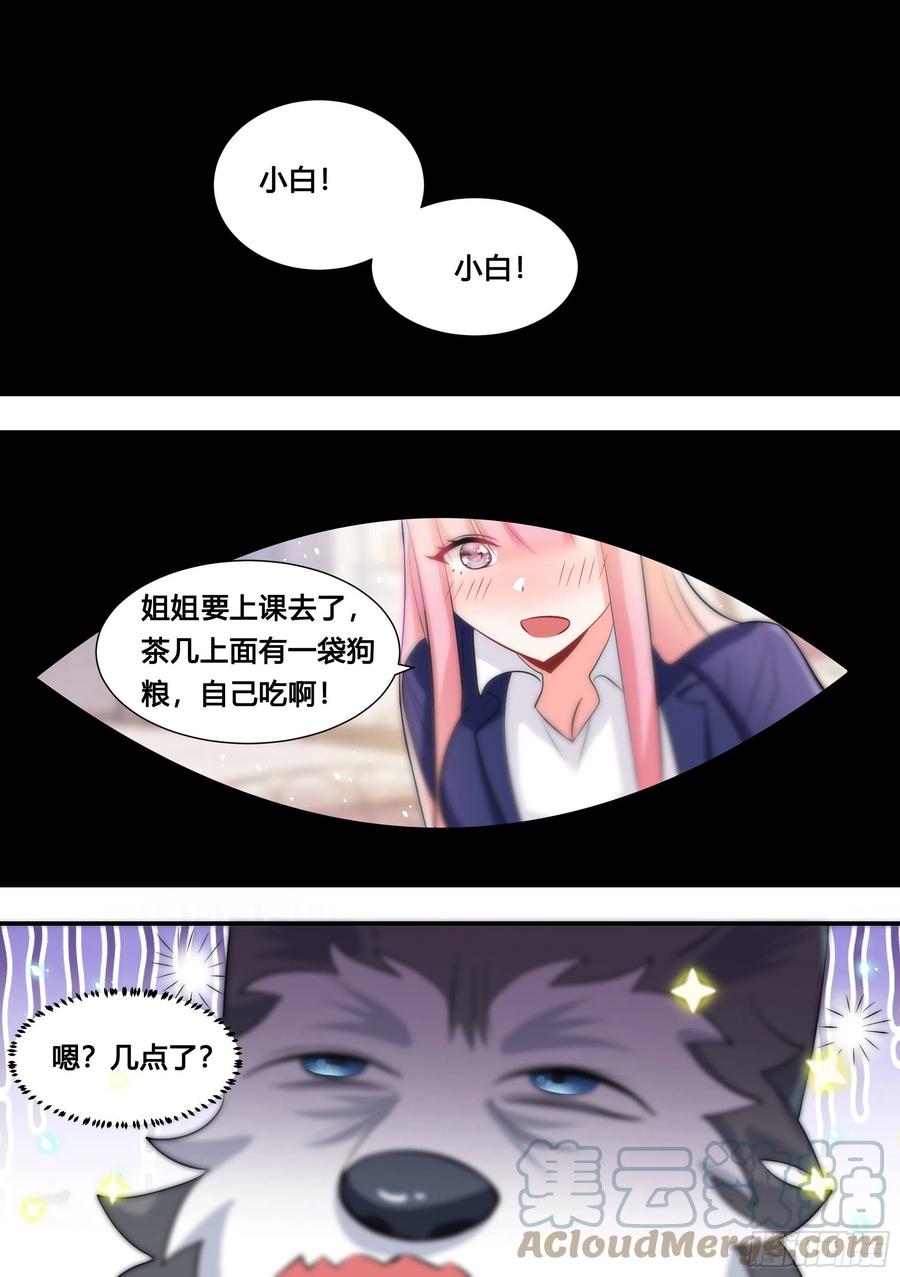 《直播：女神家的哈士奇天秀》115-聚会不如吃炸串 第2页
