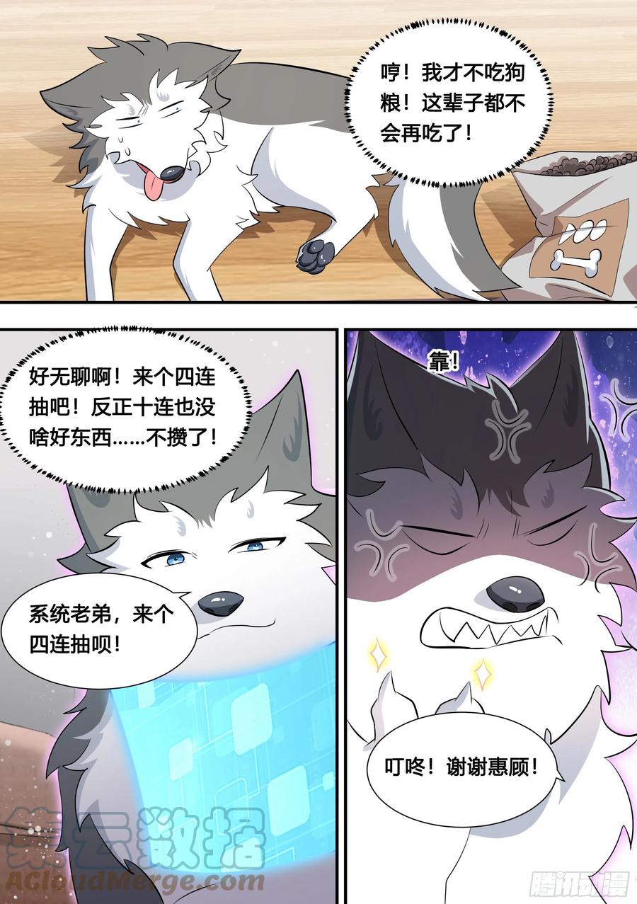 《直播：女神家的哈士奇天秀》115-聚会不如吃炸串 第3页