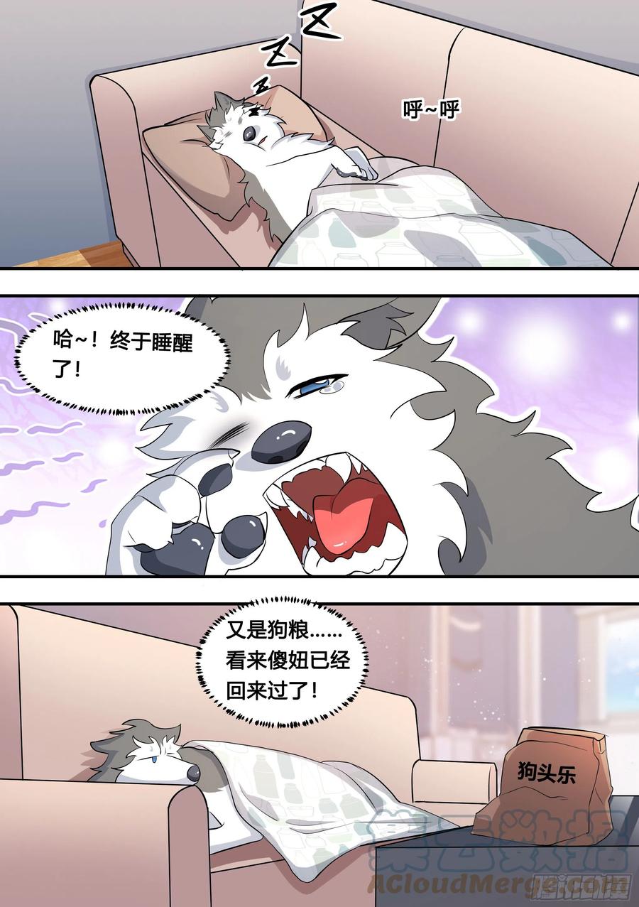 《直播：女神家的哈士奇天秀》118-汽车专利技术 第4页