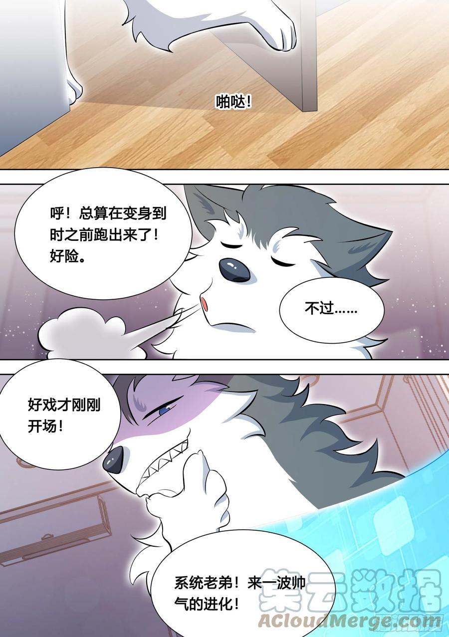 《直播：女神家的哈士奇天秀》121-直播间来新人了！ 第10页