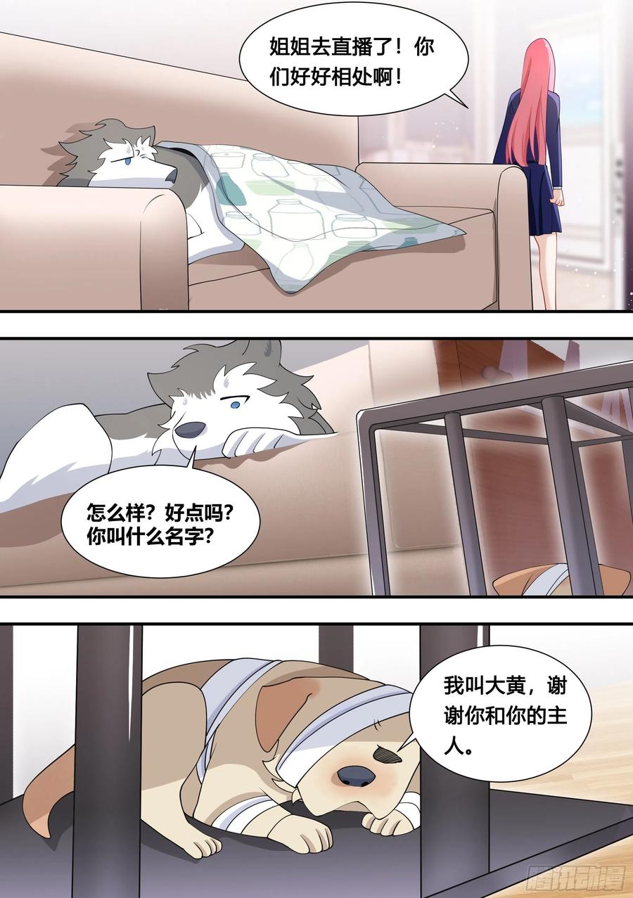 《直播：女神家的哈士奇天秀》126-敢打狗？ 第12页