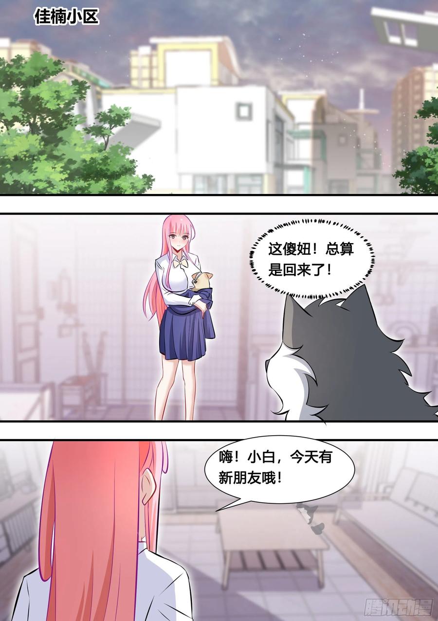 《直播：女神家的哈士奇天秀》126-敢打狗？ 第10页