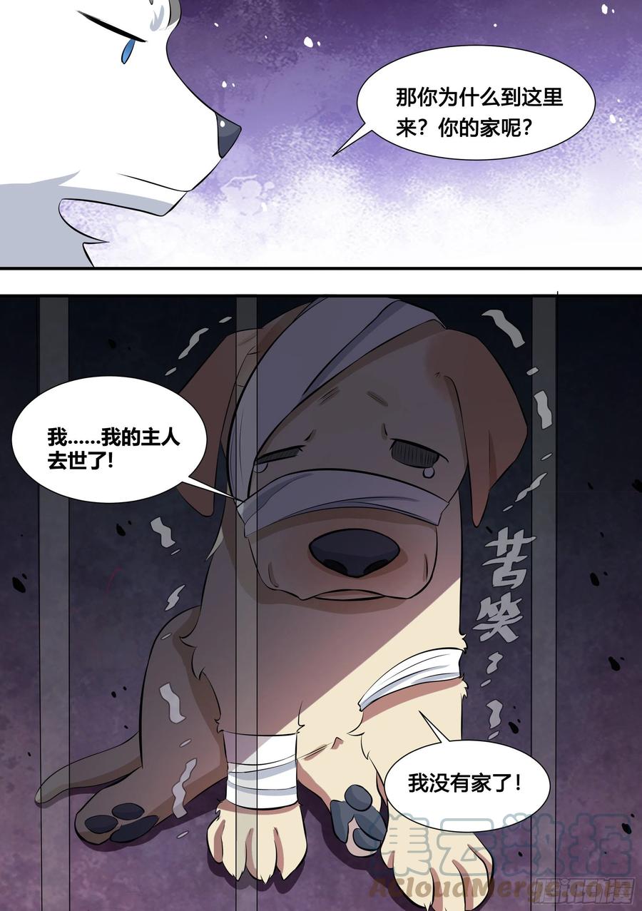 《直播：女神家的哈士奇天秀》126-敢打狗？ 第13页