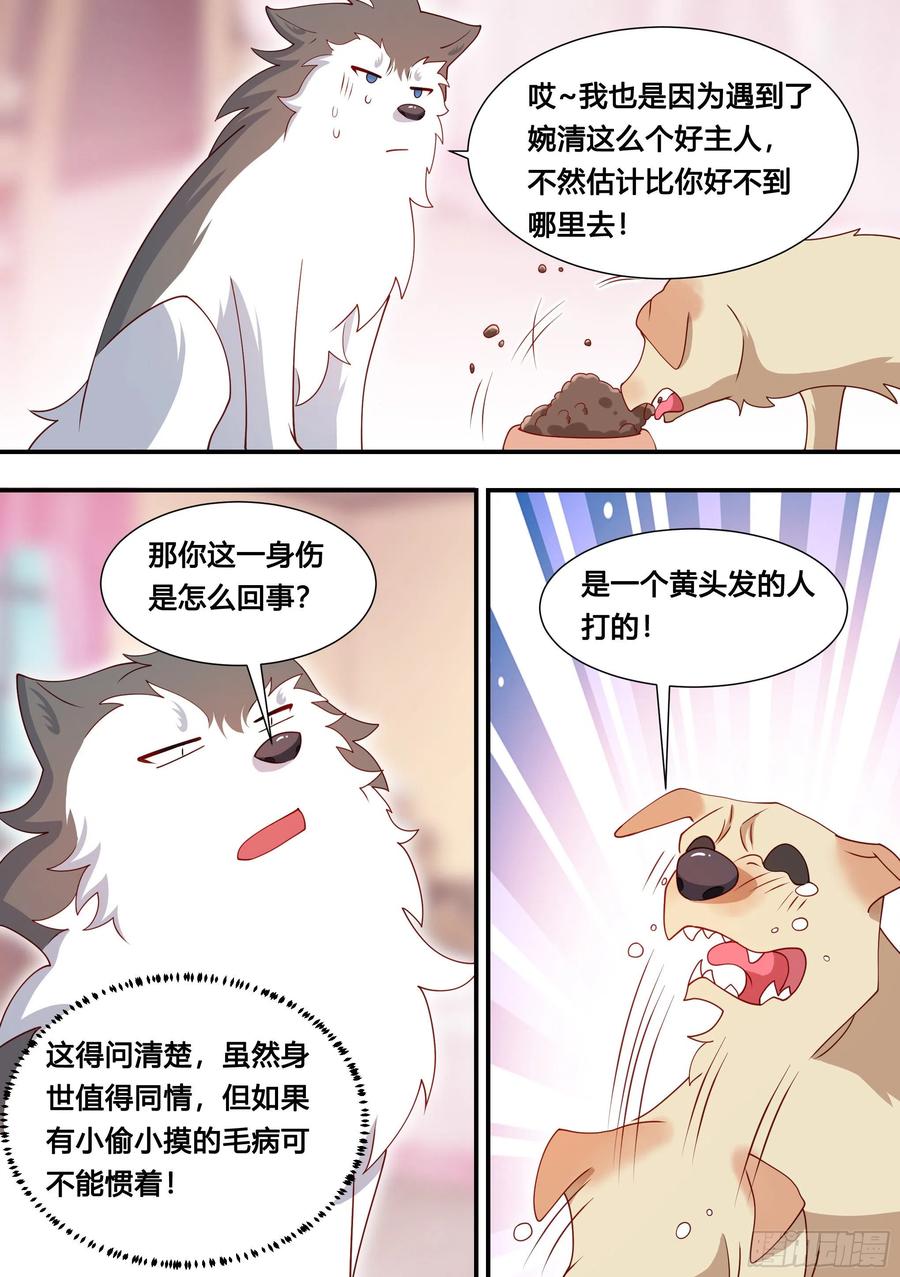 《直播：女神家的哈士奇天秀》127-流浪狗的苦难生活 第6页