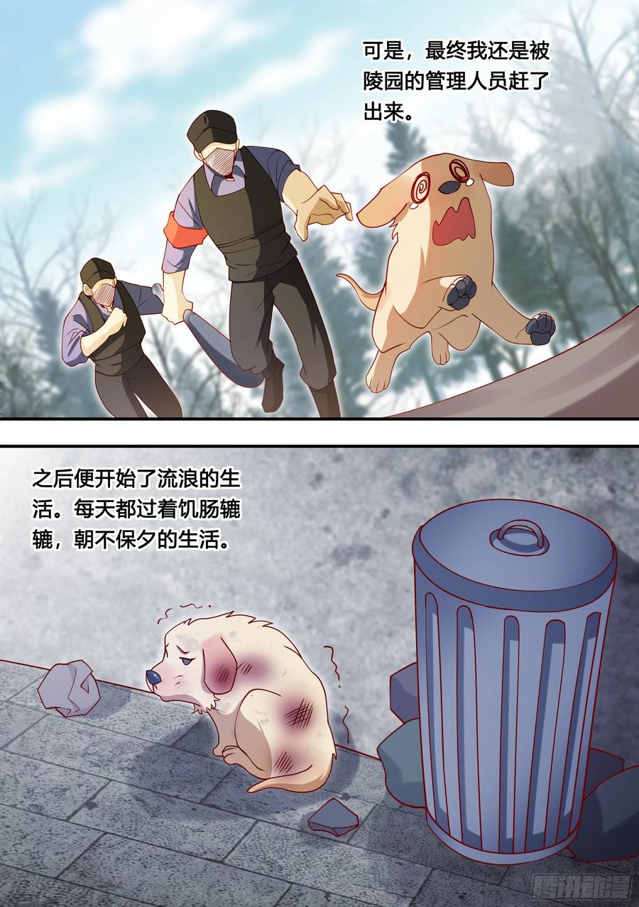 《直播：女神家的哈士奇天秀》127-流浪狗的苦难生活 第4页