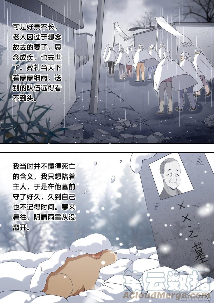 《直播：女神家的哈士奇天秀》127-流浪狗的苦难生活 第3页