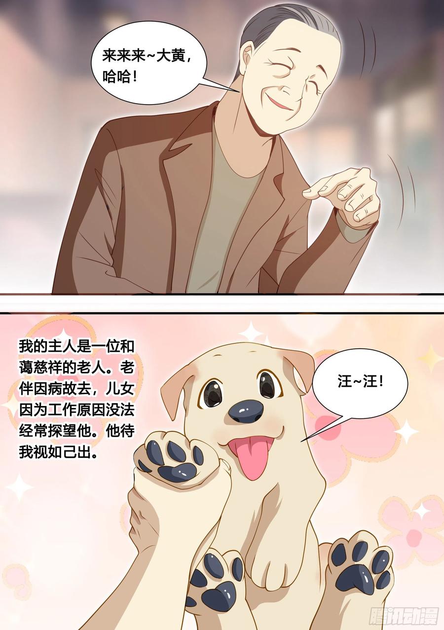 《直播：女神家的哈士奇天秀》127-流浪狗的苦难生活 第2页