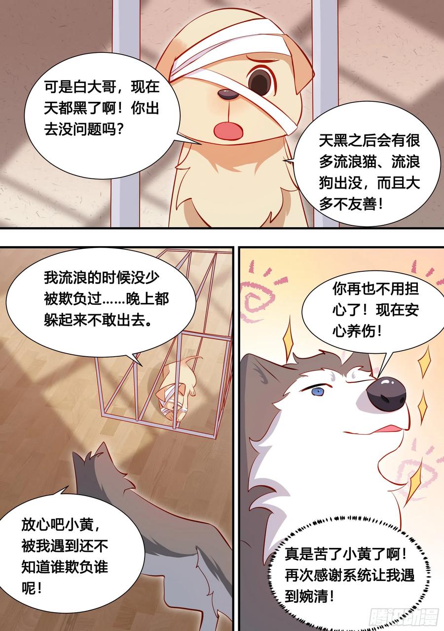 《直播：女神家的哈士奇天秀》127-流浪狗的苦难生活 第12页