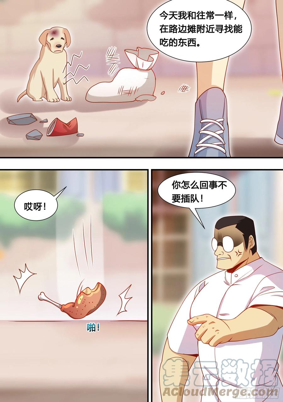 《直播：女神家的哈士奇天秀》127-流浪狗的苦难生活 第7页