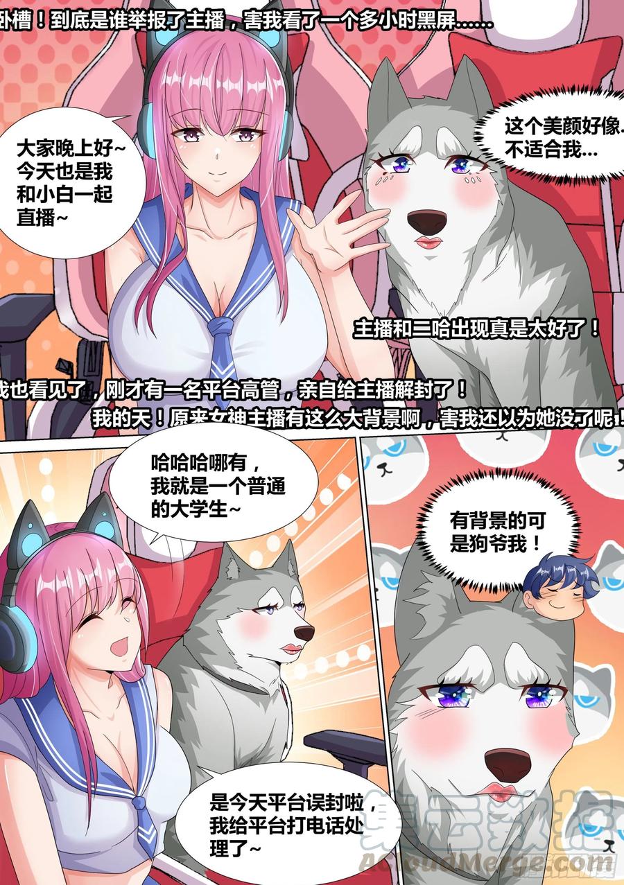 《直播：女神家的哈士奇天秀》12-满屏的“火箭” 第2页