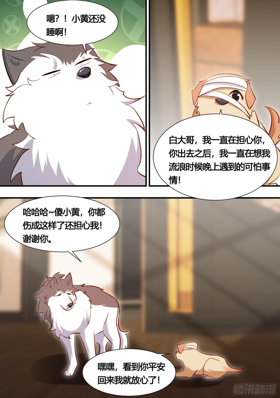 《直播：女神家的哈士奇天秀》131-麻烦的小萌… 第6页