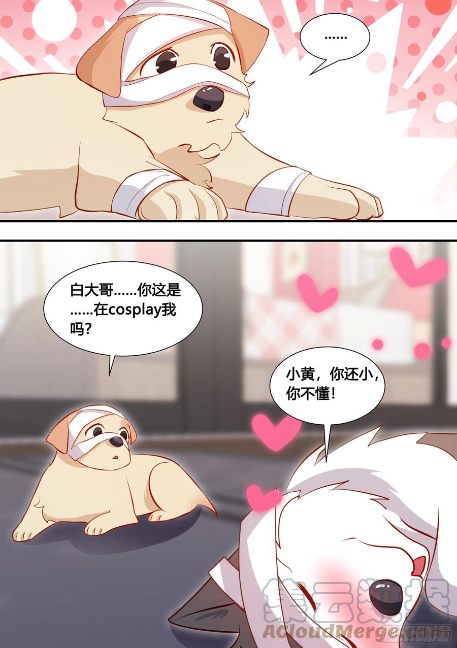 《直播：女神家的哈士奇天秀》132-小黄你还小，你不懂！ 第13页