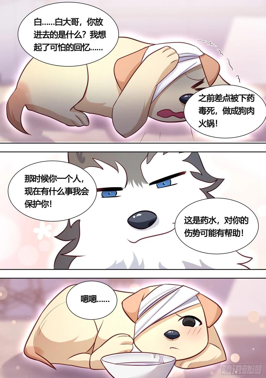 《直播：女神家的哈士奇天秀》139-一只想做咸鱼的狗 第10页