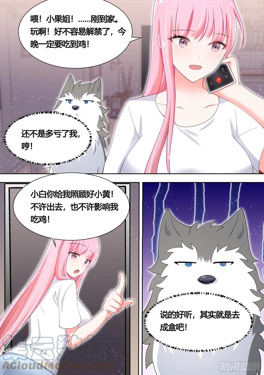 《直播：女神家的哈士奇天秀》139-一只想做咸鱼的狗 第7页