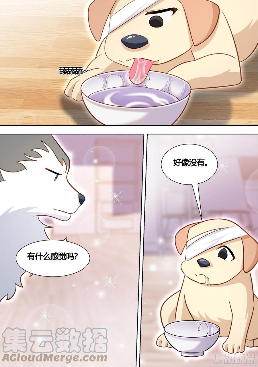《直播：女神家的哈士奇天秀》139-一只想做咸鱼的狗 第11页