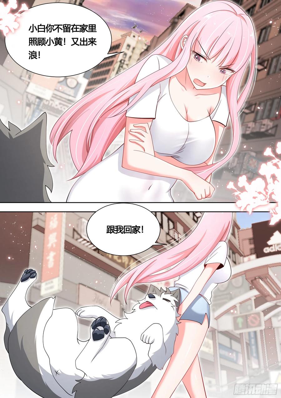 《直播：女神家的哈士奇天秀》139-一只想做咸鱼的狗 第6页