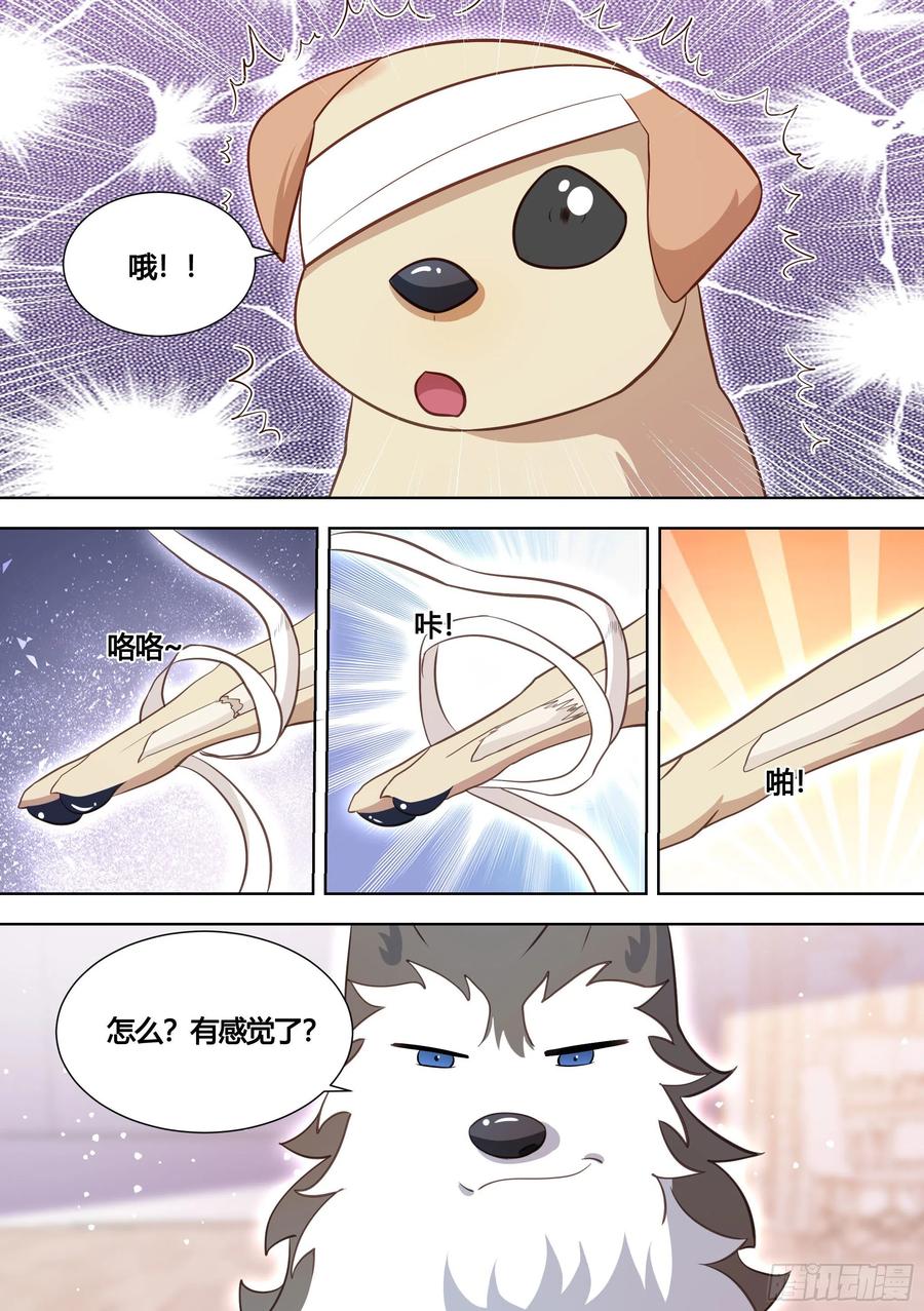 《直播：女神家的哈士奇天秀》139-一只想做咸鱼的狗 第12页