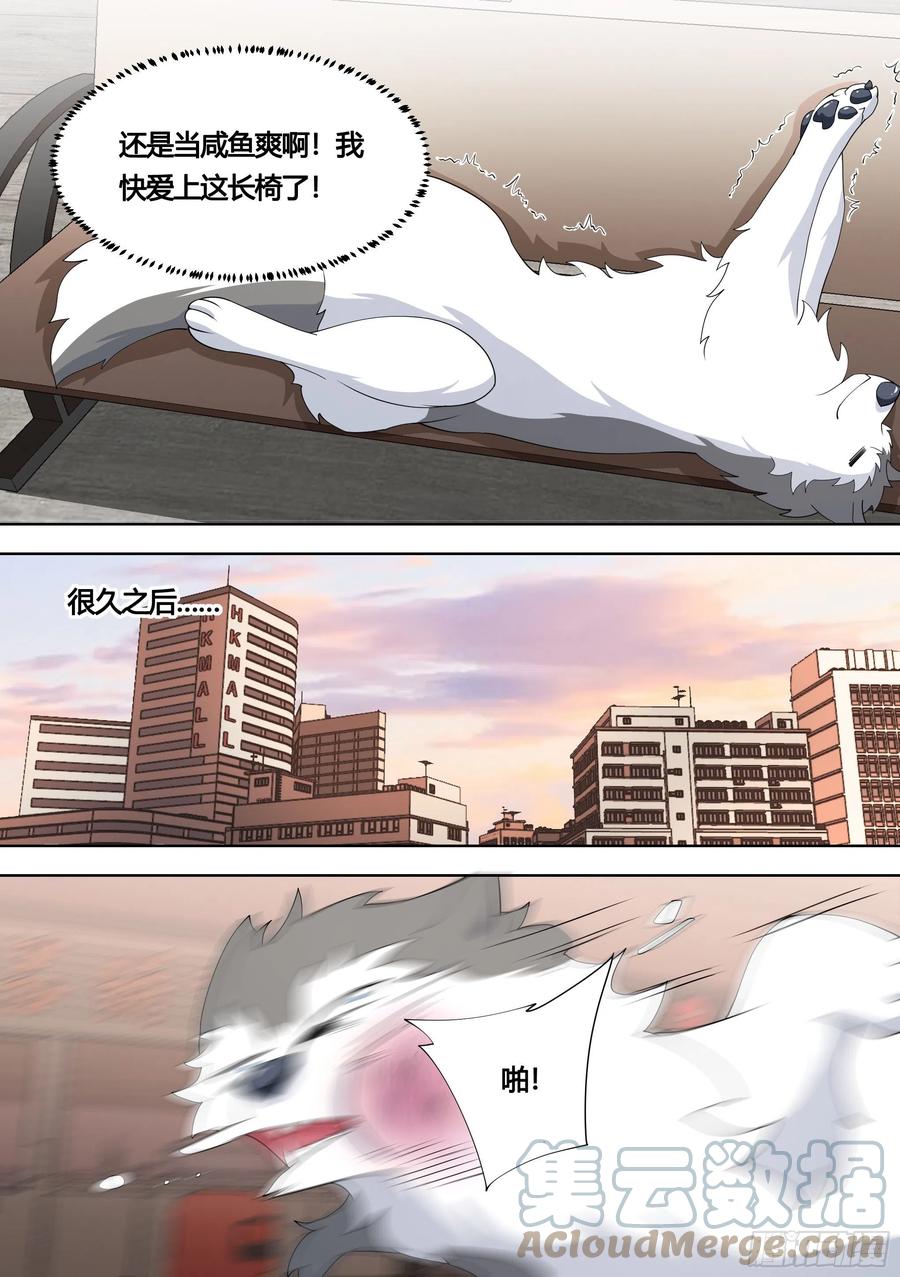 《直播：女神家的哈士奇天秀》139-一只想做咸鱼的狗 第5页