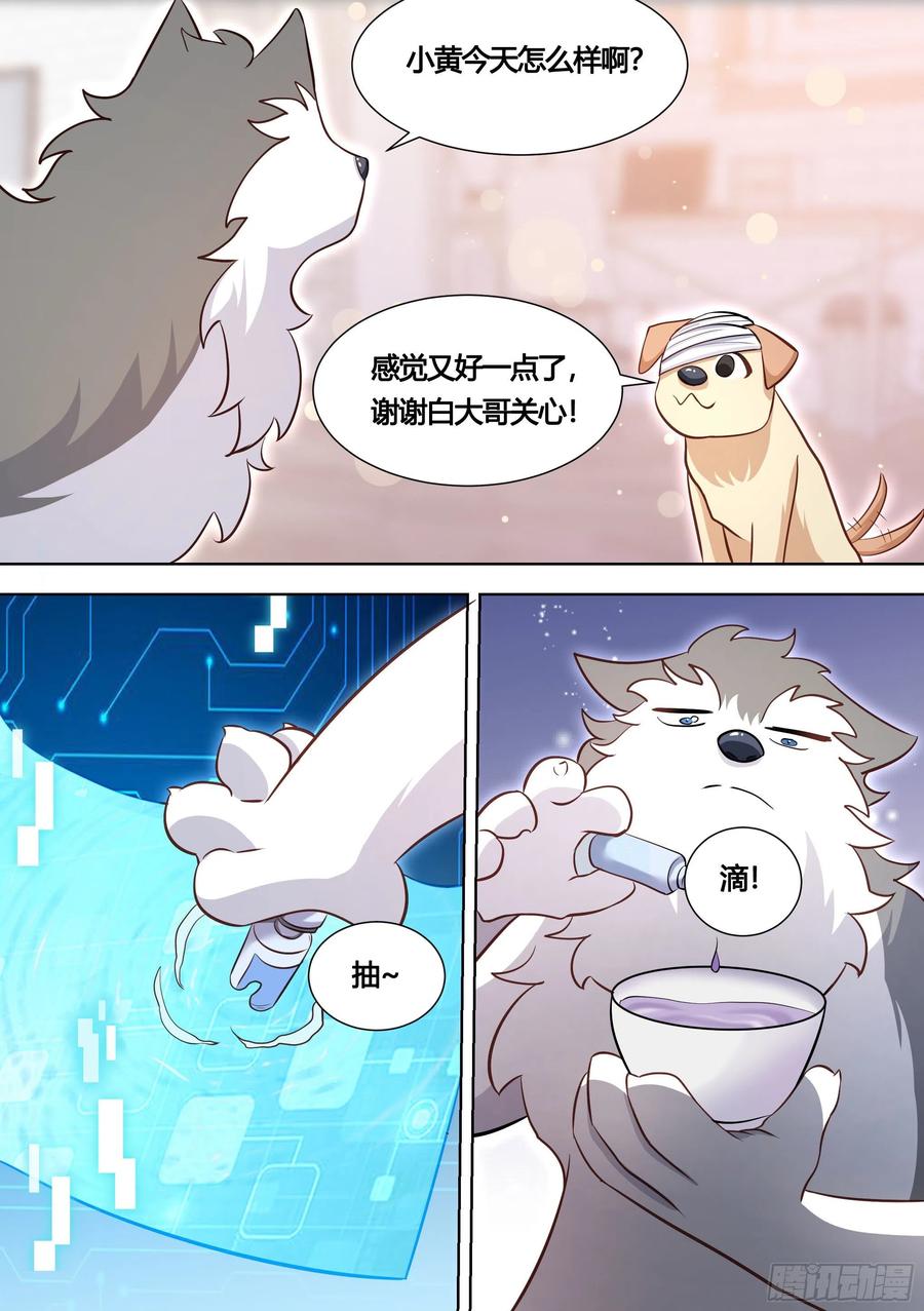 《直播：女神家的哈士奇天秀》139-一只想做咸鱼的狗 第8页