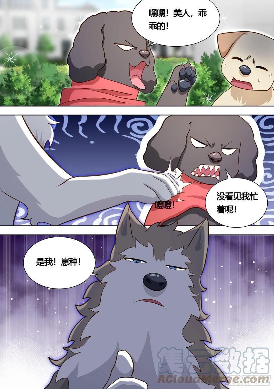 《直播：女神家的哈士奇天秀》140-关于小黄是个美人的事 第11页