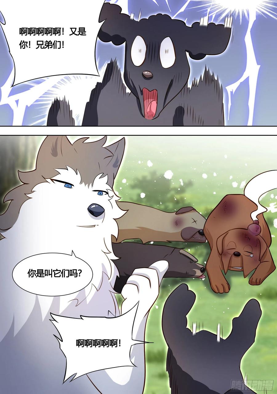 《直播：女神家的哈士奇天秀》140-关于小黄是个美人的事 第12页
