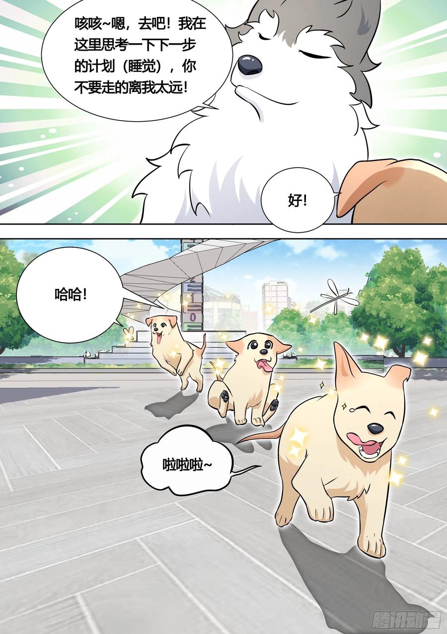 《直播：女神家的哈士奇天秀》140-关于小黄是个美人的事 第6页